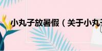 小丸子放暑假(關于小丸子放暑假簡介)