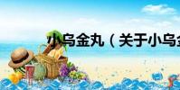 小烏金丸(關于小烏金丸簡介)