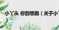 小丫頭 你別想跑(關于小丫頭 你別想跑簡介)