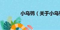 小烏鸮(關于小烏鸮簡介)