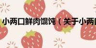 小兩口鮮肉餛飩(關于小兩口鮮肉餛飩簡介)