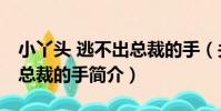小丫頭 逃不出總裁的手(關于小丫頭 逃不出總裁的手簡介)