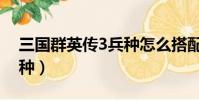 三國群英傳3兵種怎么搭配(三國群英傳3兵種)