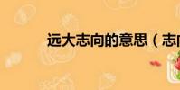 遠大志向的意思(志向的意思)