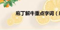 庖丁解牛重點字詞(庖丁解牛)