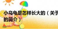小烏龜是怎樣長大的(關于小烏龜是怎樣長大的簡介)