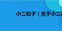 小二砬子(關于小二砬子簡介)