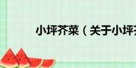 小坪芥菜(關于小坪芥菜簡介)