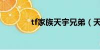 tf家族天宇兄弟(天宇兄弟)