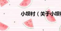 小壩村(關于小壩村簡介)