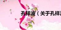 孔祥波(關于孔祥波介紹)