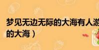 夢見無邊無際的大海有人游泳(夢見無邊無際的大海)