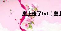 皇上走了txt(皇上走了)