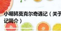 小嘲鶇莫克爾奇遇記(關于小嘲鶇莫克爾奇遇記簡介)