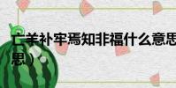 亡羊補牢焉知非福什么意思(焉知非福什么意思)
