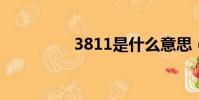 3811是什么意思(381)