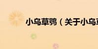小烏草鸮(關于小烏草鸮簡介)