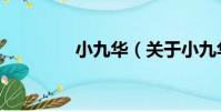 小九華(關于小九華簡介)