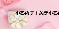 小乙丙丁(關于小乙丙丁簡介)