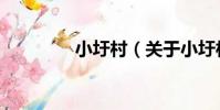 小圩村(關于小圩村簡介)