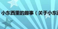 小東西里的趣事(關于小東西里的趣事簡介)