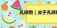 孔祥榕(關于孔祥榕介紹)
