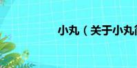 小丸(關于小丸簡介)