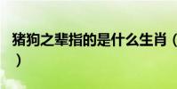豬狗之輩指的是什么生肖(豬狗之輩打一生肖)