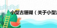 小型古珊瑚(關于小型古珊瑚簡介)