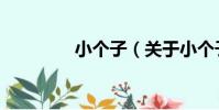 小個子(關于小個子簡介)