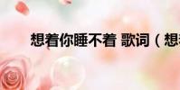 想著你睡不著 歌詞(想著你睡不著)