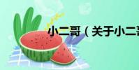 小二哥(關于小二哥簡介)