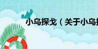 小烏探戈(關于小烏探戈簡介)