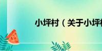 小坪村(關于小坪村簡介)