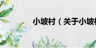 小坡村(關于小坡村簡介)