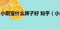 小廚寶什么牌子好 知乎(小廚寶什么牌子好)