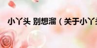 小丫頭 別想溜(關于小丫頭 別想溜簡介)