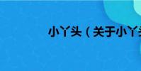 小丫頭(關于小丫頭簡介)