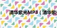 清華紫光MP3(清華紫光車載mp3)