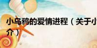 小烏鴉的愛情進程(關于小烏鴉的愛情進程簡介)