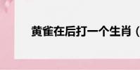 黃雀在后打一個生肖(黃雀在后)