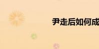 尹走后如何成長