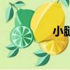 小腿襪瘦腿（瘦腿褲襪）