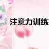 注意力訓練軟件下載（四快超強注意力）