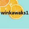 winkawaks1.65中文版（winkawaks1 59）