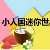 小人國迷你世界（關于小人國迷你世界簡介）