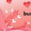 bushy怎么讀（bushy）