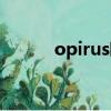 opirus歐菲萊斯車標（opirus）