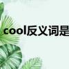 cool反義詞是hot還是warm（COOL FAN）