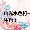山光水色打一生肖是什么生肖（山光水色打一生肖）